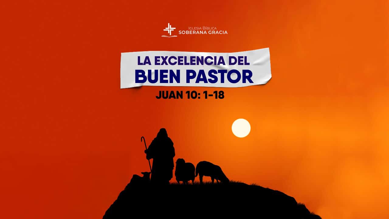 imagen de un pastor cuidado a sus ovejas con un texto que dice la excelencia del buen pastor y la cita bíblica de Juan 10:1-18