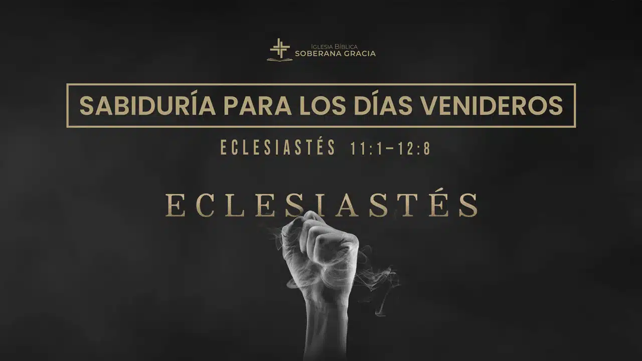 Guía de películas de verano 2025: Estrenos en cines y streaming de mayo a  agosto – San Diego Union-Tribune, image size:1280x720